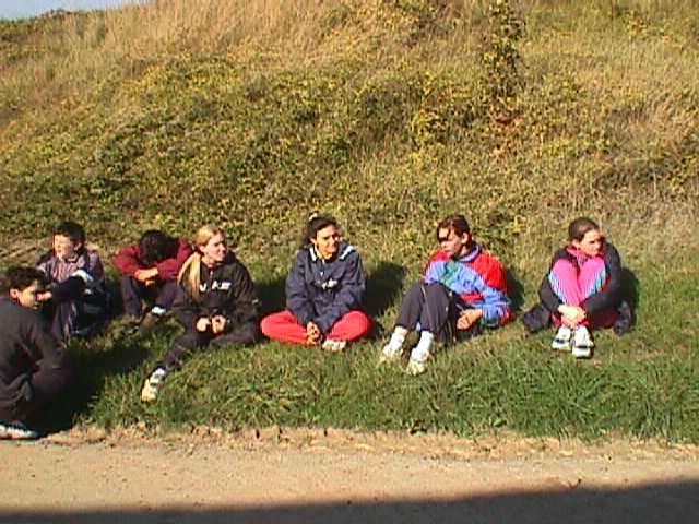 vtt3